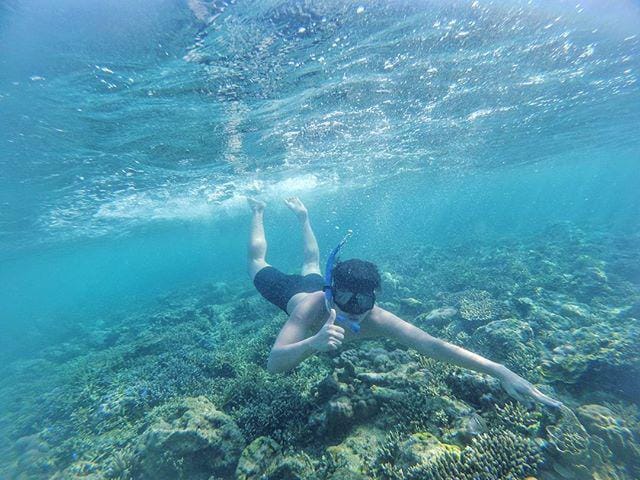 instagram.com/pulau_moyo/