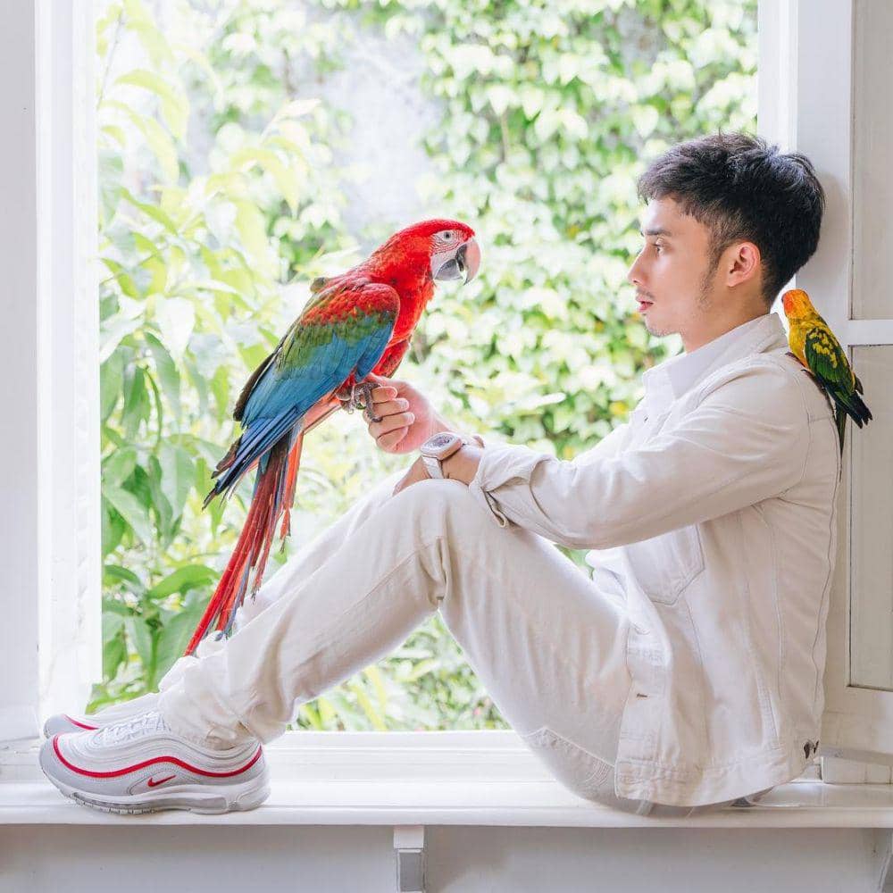 instagram.com/alshadahmad/