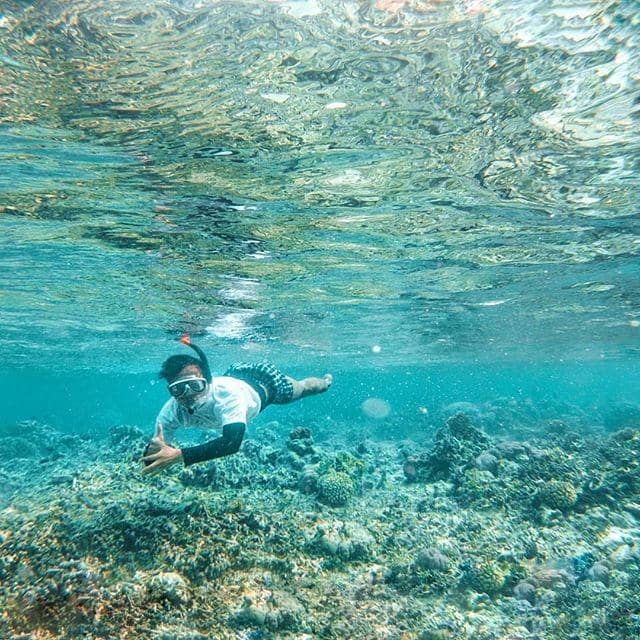 instagram.com/pulau_moyo/