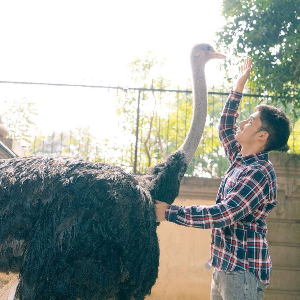 instagram.com/alshadahmad/