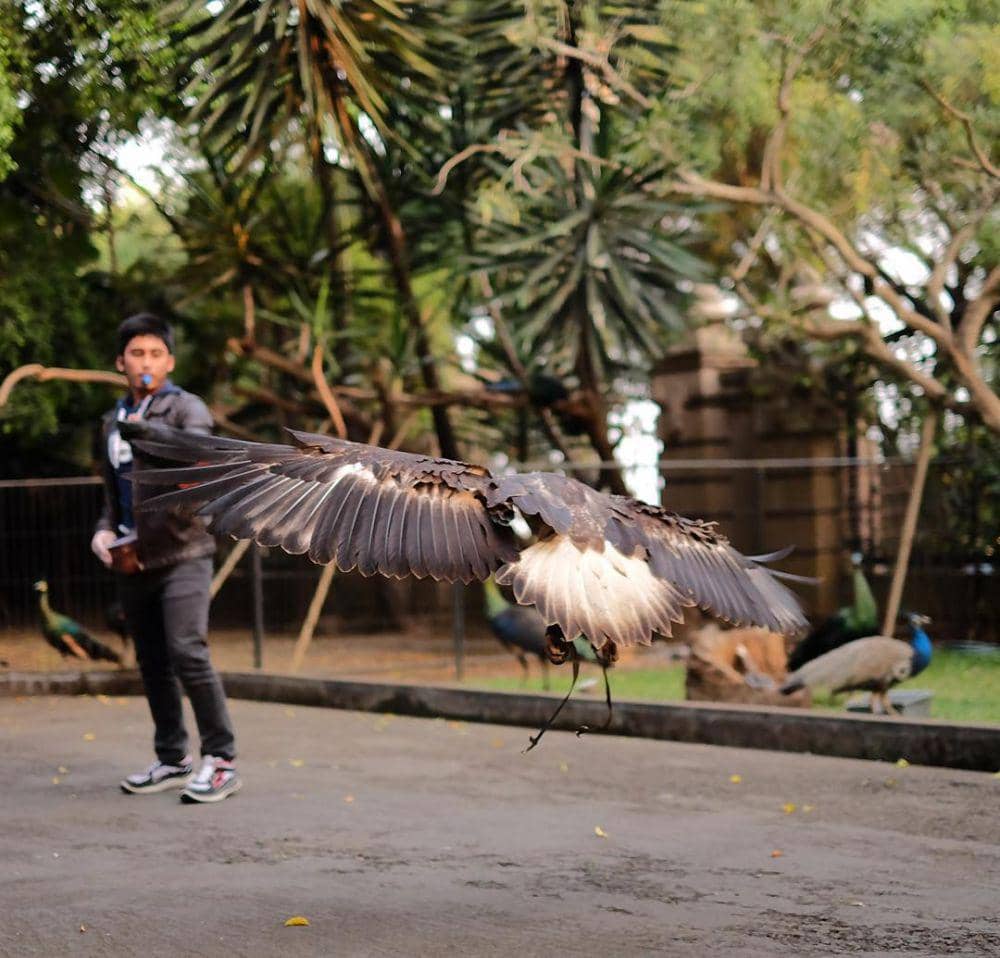 instagram.com/alshadahmad/