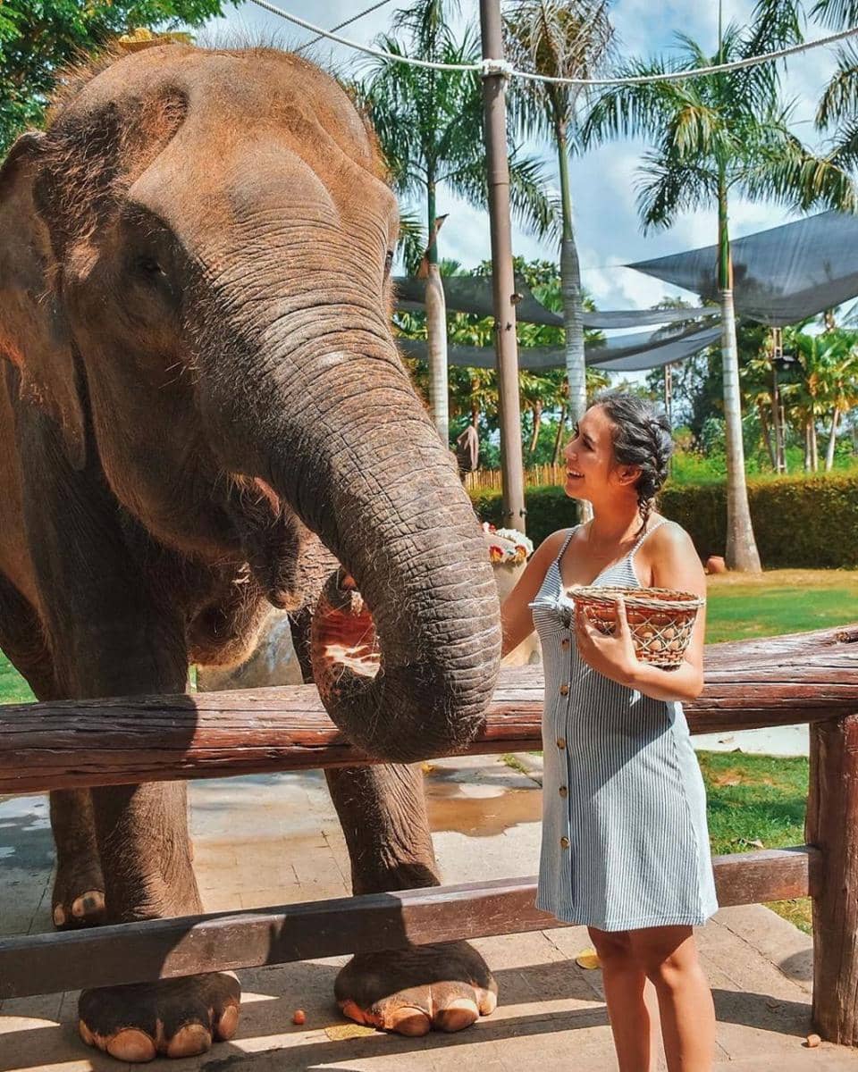 instagram.com/westnydj