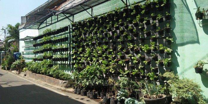 glintunggogreen.com