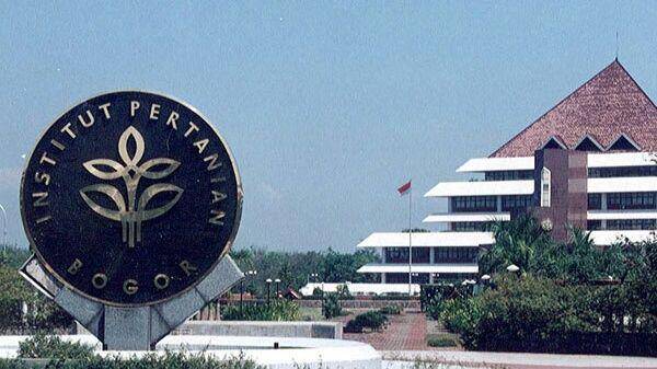 mediaindonesia.com