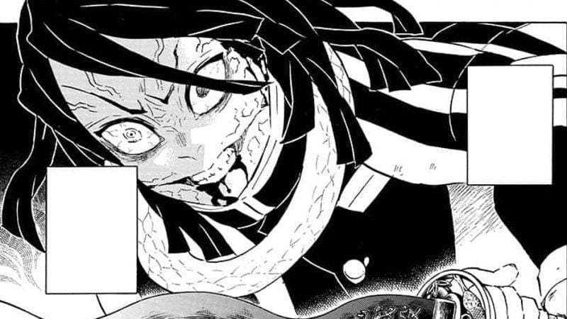 mangaplus.shueisha.co.jp/Kimetsu no Yaiba