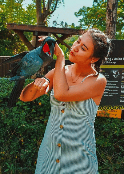 instagram.com/westnydj