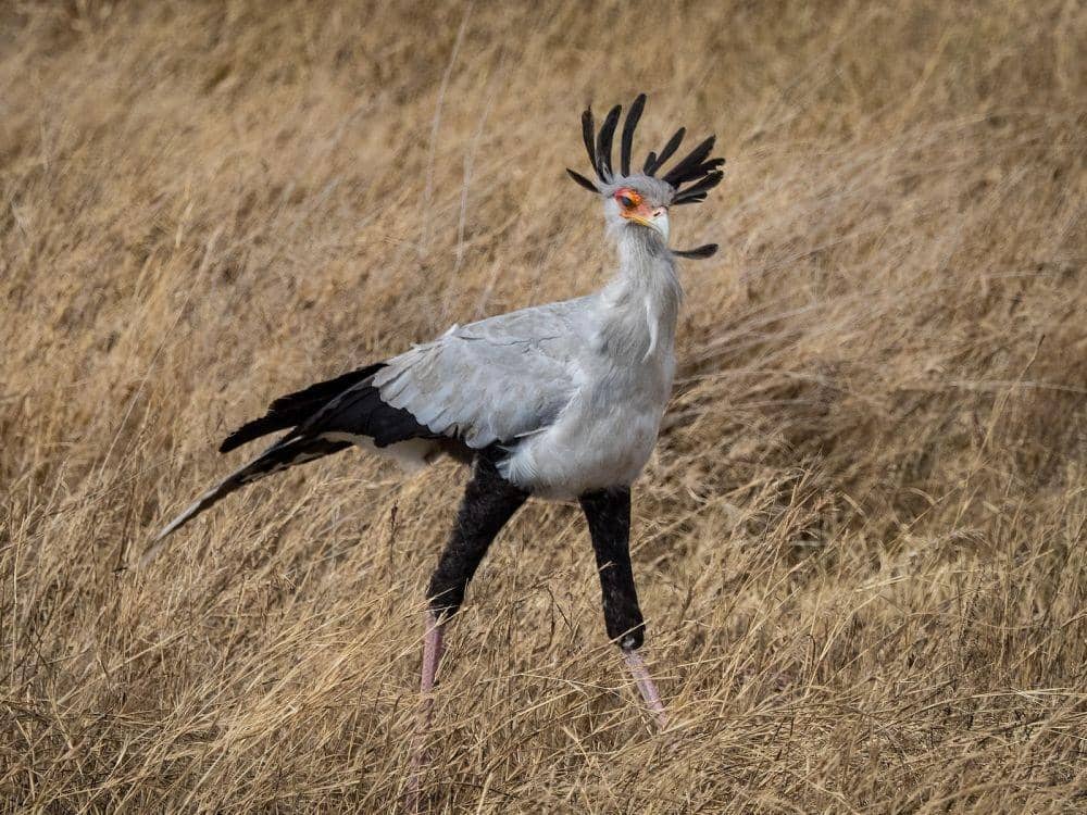 sarahhoodsalomon.com