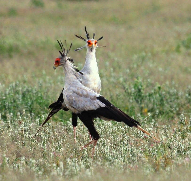 wildnatureinstitute.org