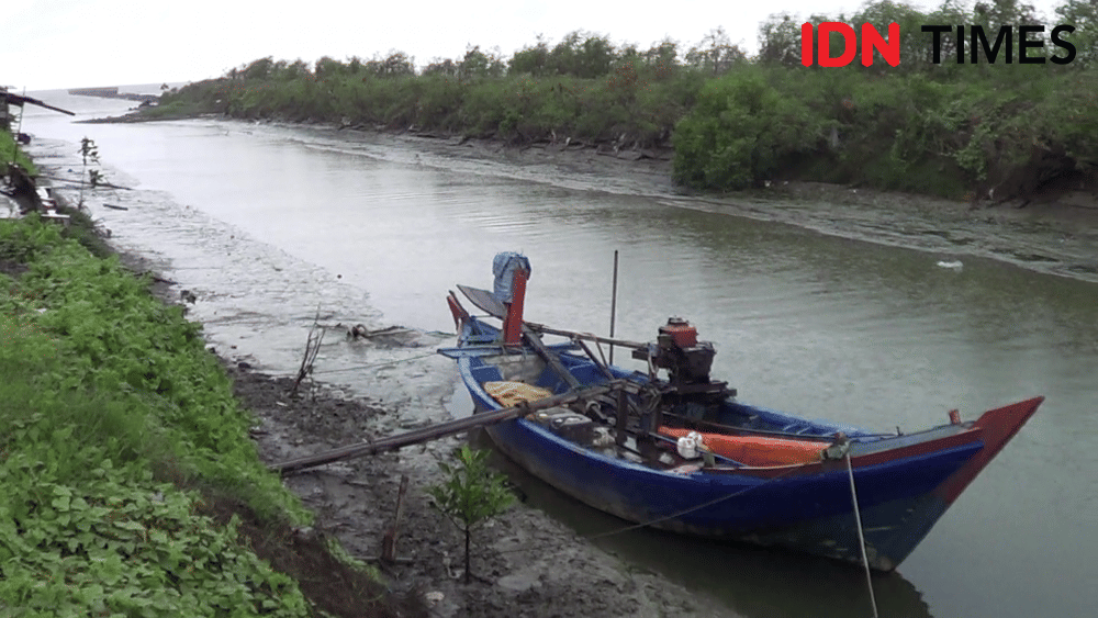 IDN Times/ Muchammad Haikal