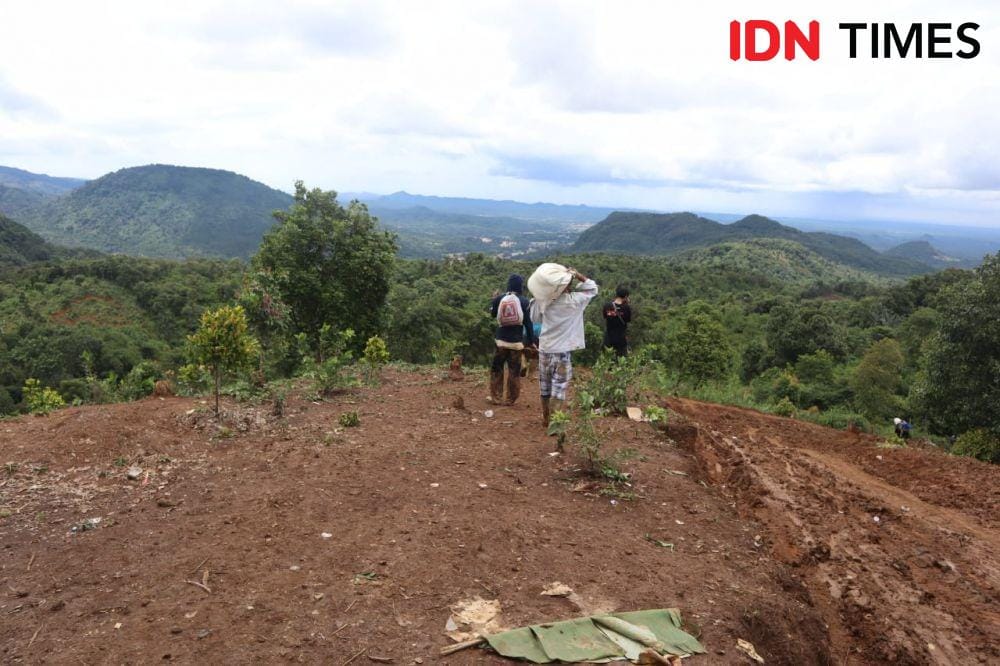 (IDN Times/Muhamad Iqbal)