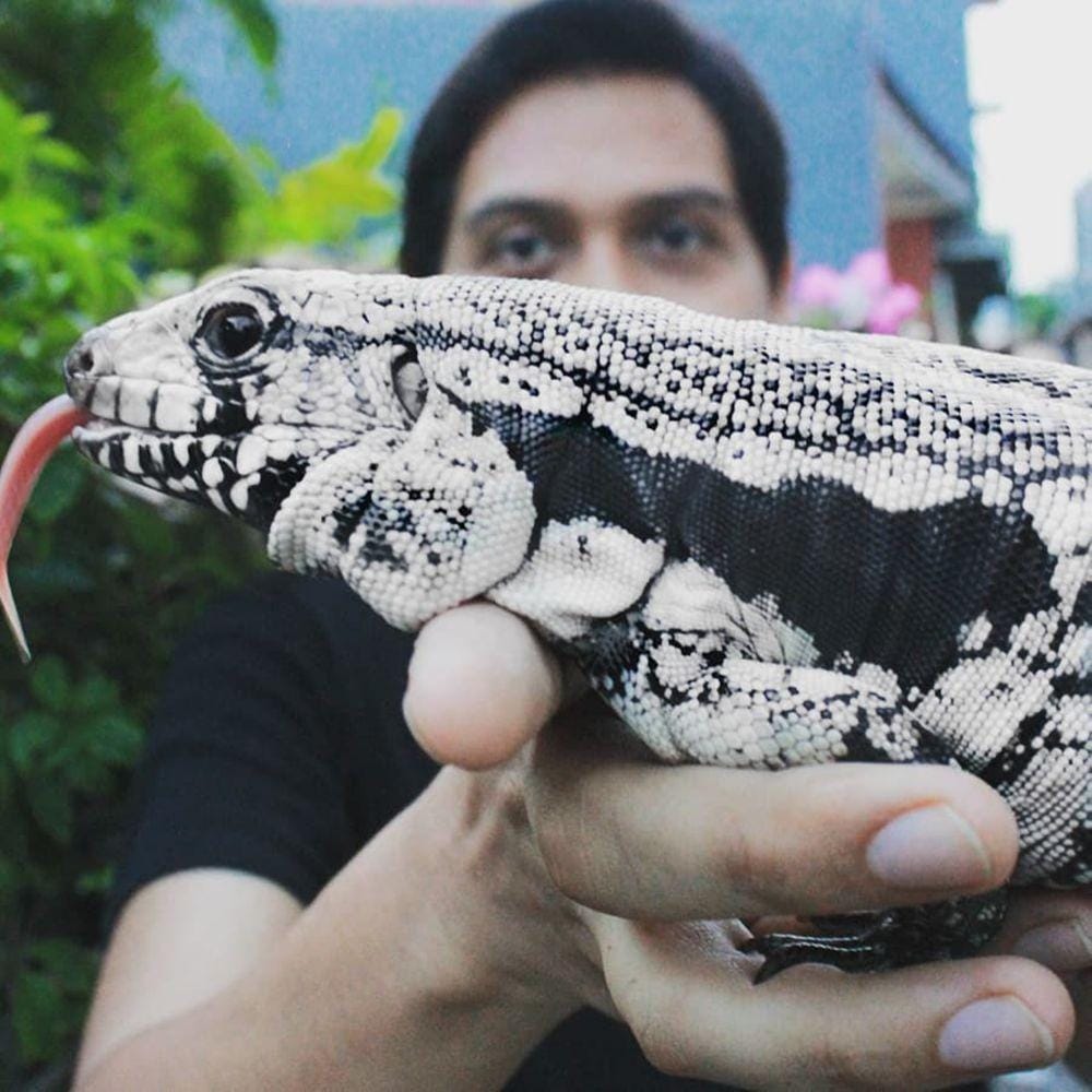 Instagram.com/luckyhakimofficial/