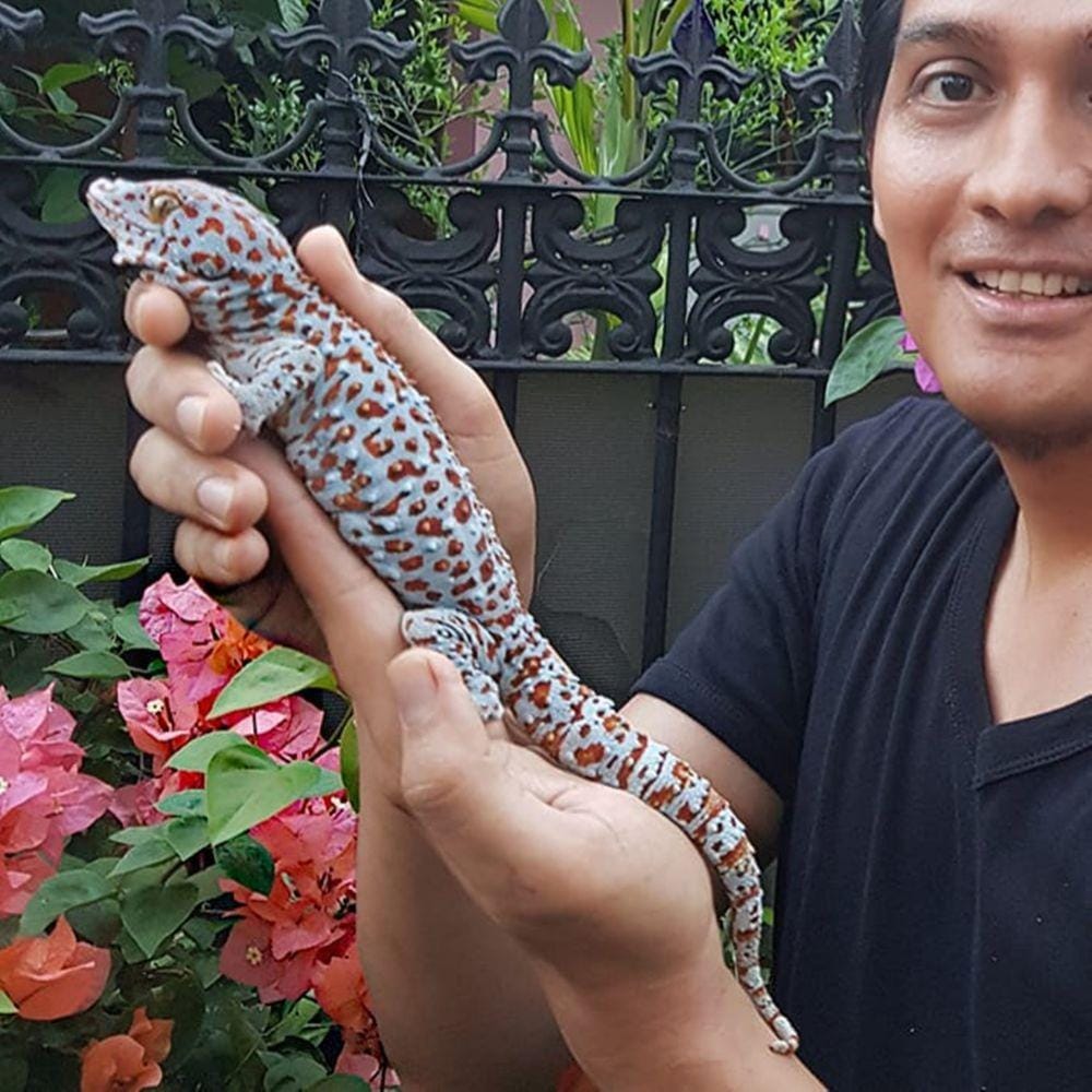 Instagram.com/luckyhakimofficial/