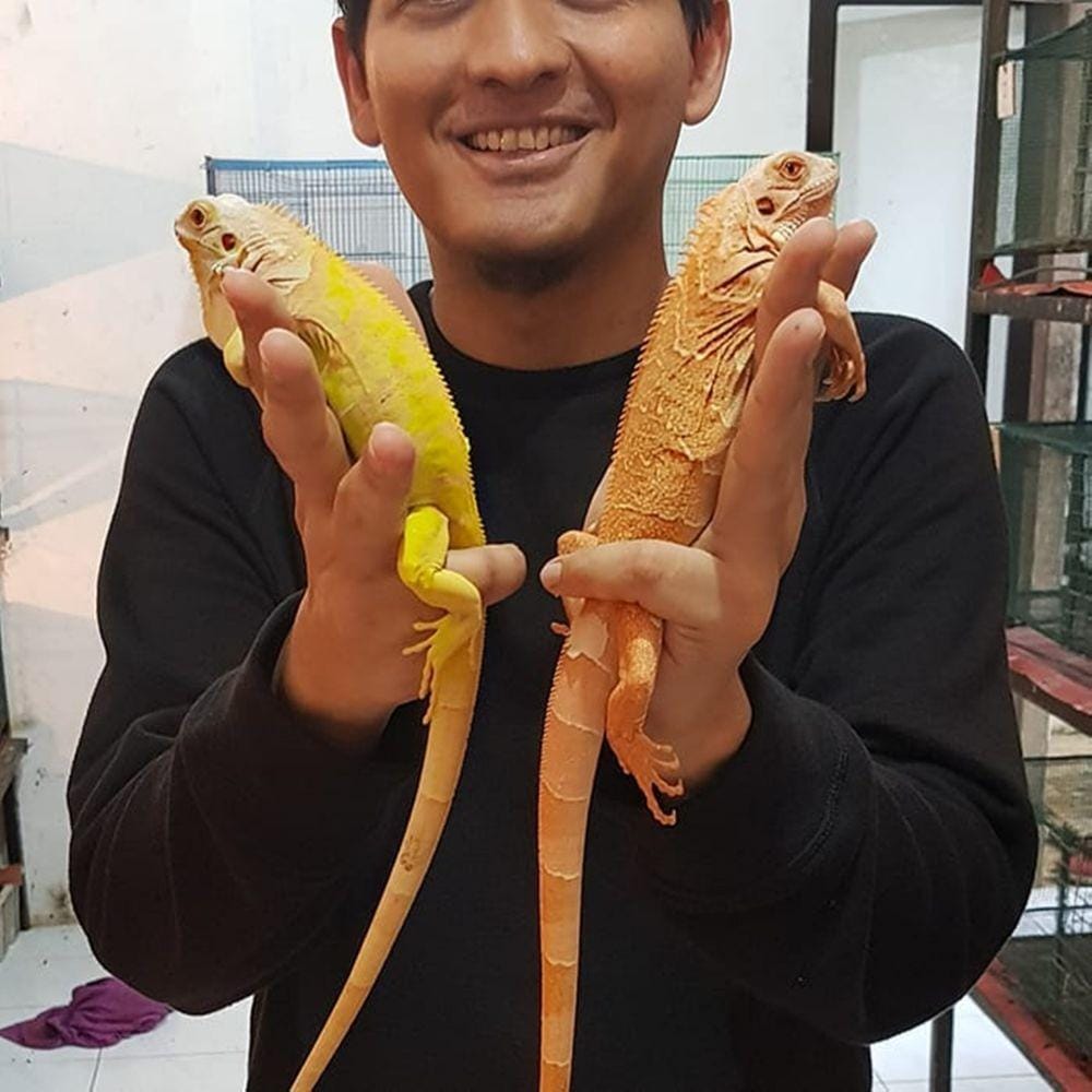 Instagram.com/luckyhakimofficial/