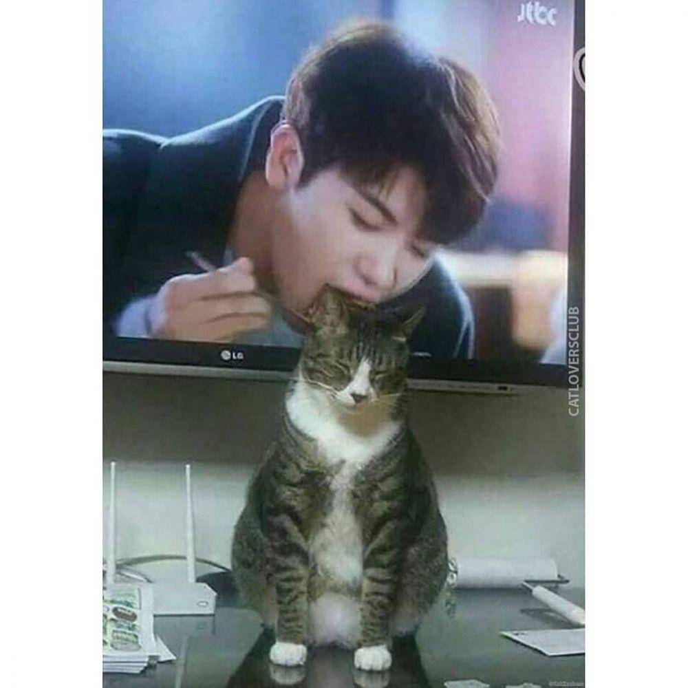 Instagram.com/cutemeowingcat