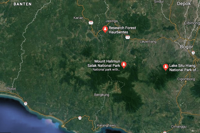 Kawasan hutan Gunung Halimun Salak (Google Map)