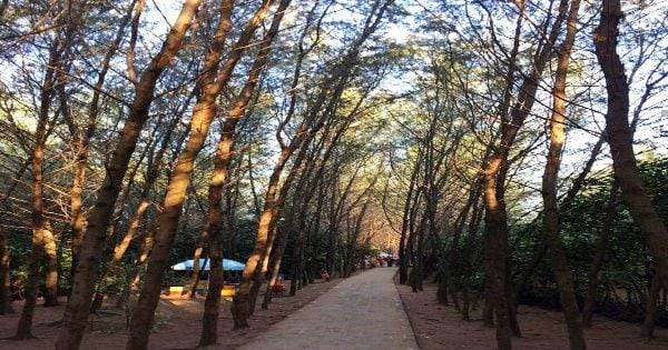 Instagram.com/jeng.wied