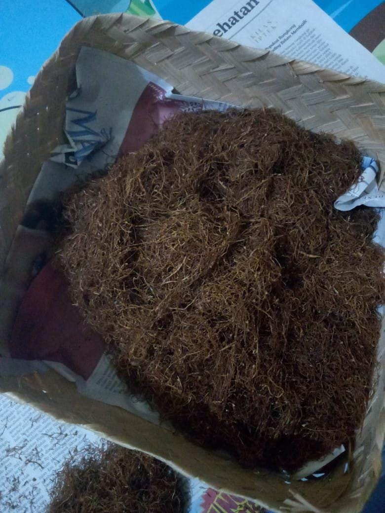 Ilustrasi tembakau yang mulai dibeli anak muda. IDN Times/Daruwaskita