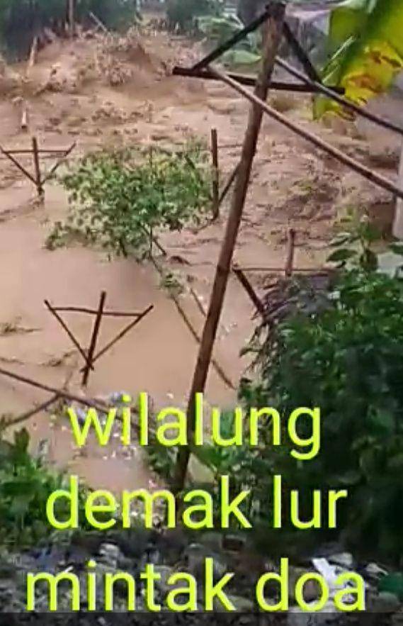Screenshoot video