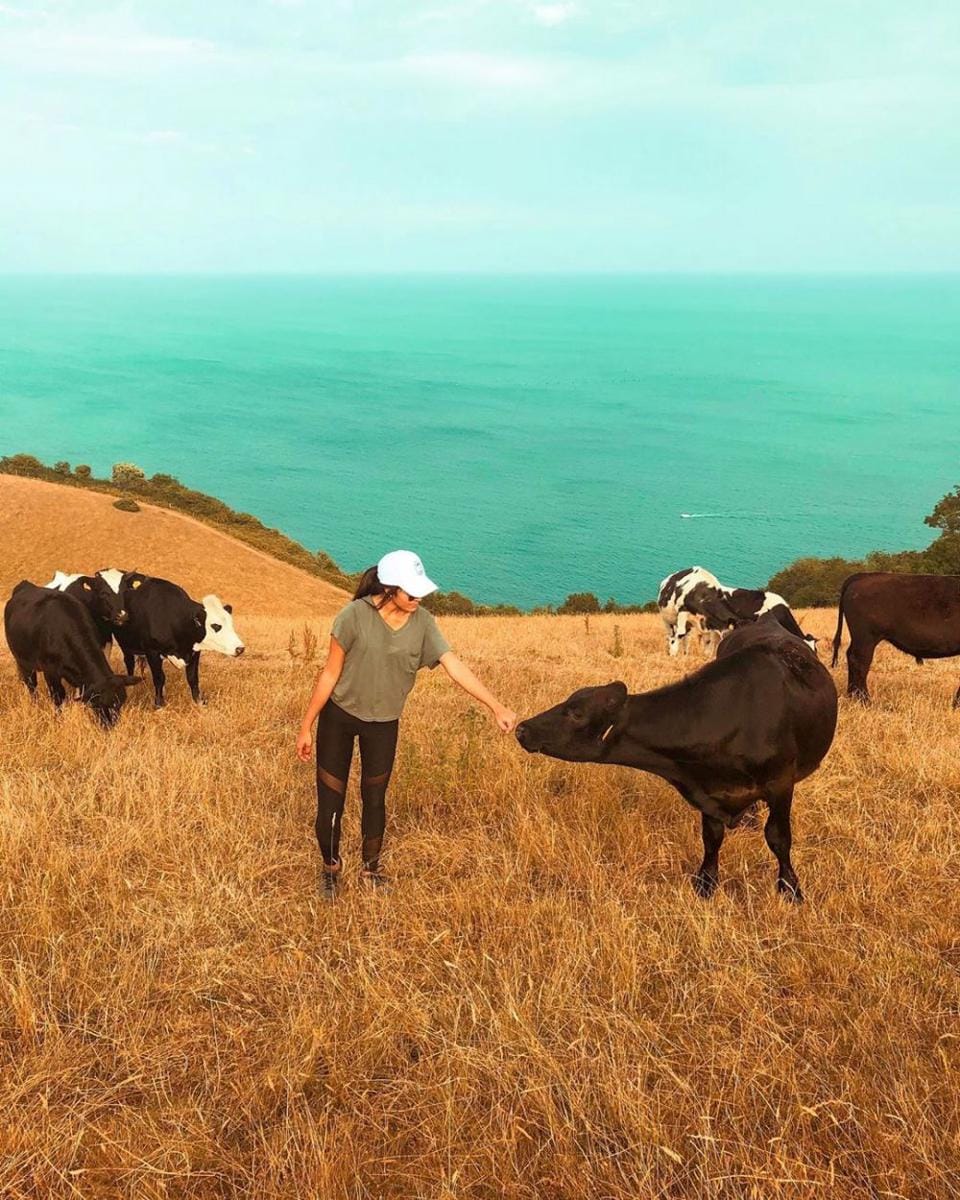 instagram.com/roamingnaomi