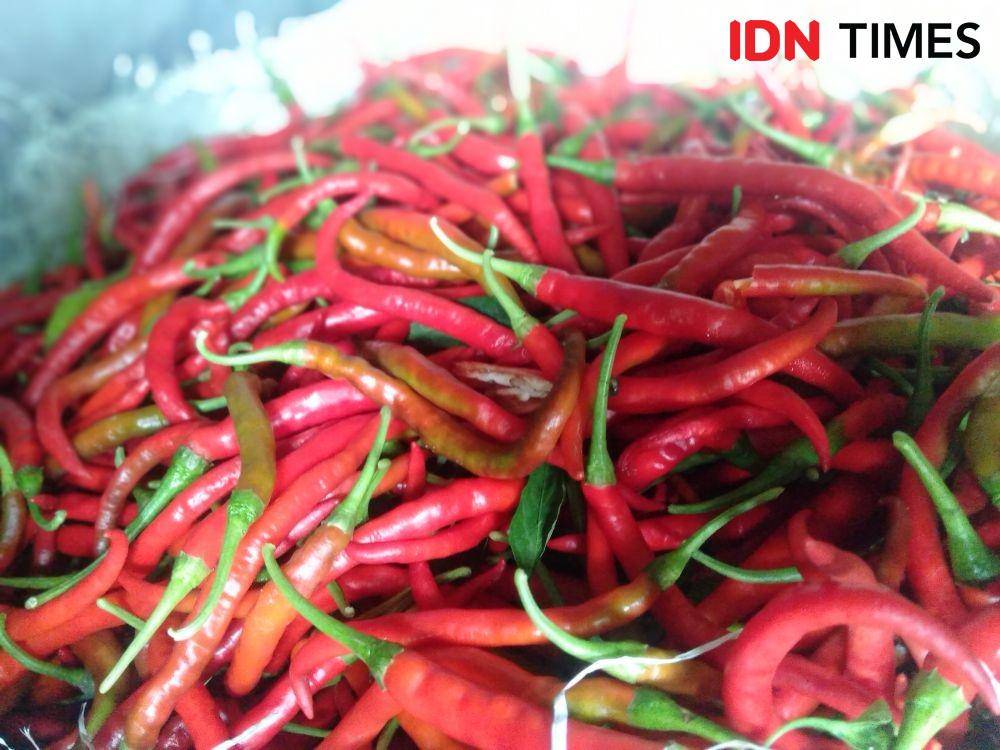 Cabai merah besar. IDN Times/Daruwaskita