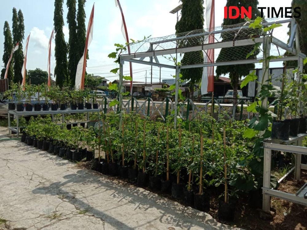 KRPL yang dikembangkan DKP PPU (IDN Times/ Ervan Masbanjar)