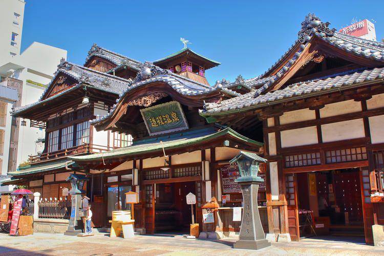 tsunagujapan.com
