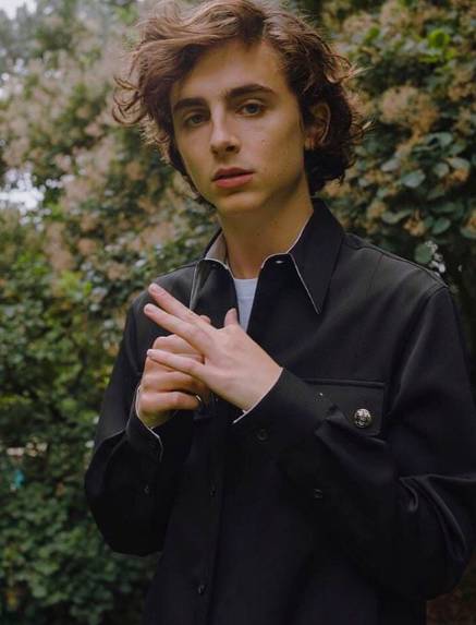 instagram.com/tchalamet