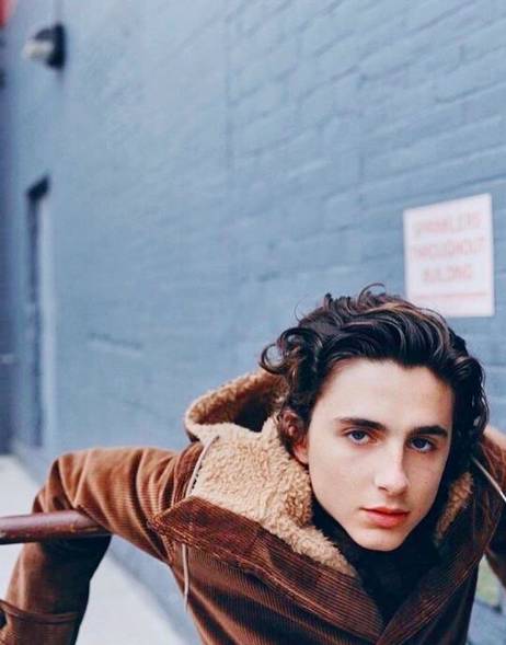 instagram.com/tchalamet