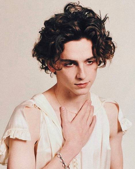 instagram.com/tchalamet