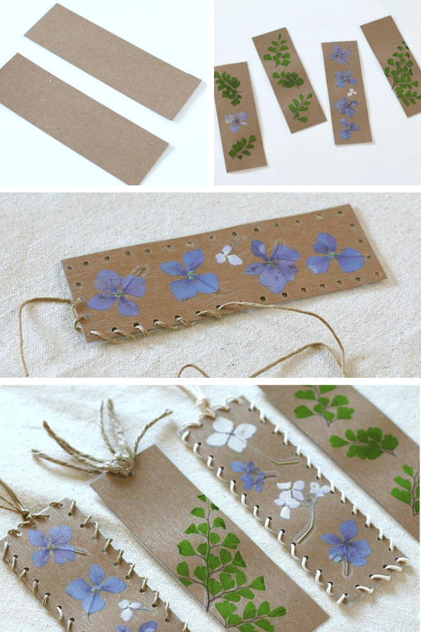 Buggy and Buddy/Chelsey