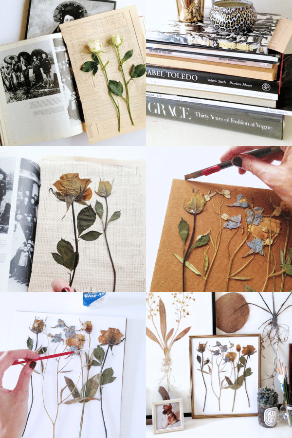 Collectivegen/ Geneva Vanderzeil