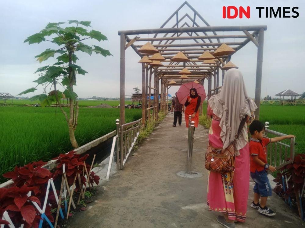 Pengunjung di Kampung Wisata Sawah Desa Pematang Johar (IDN Times/Yurika Febrianti)