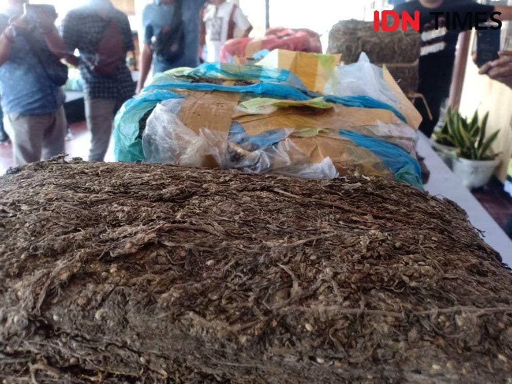 Foto ilustrasi. (IDN Times/Gideon Aritonang)