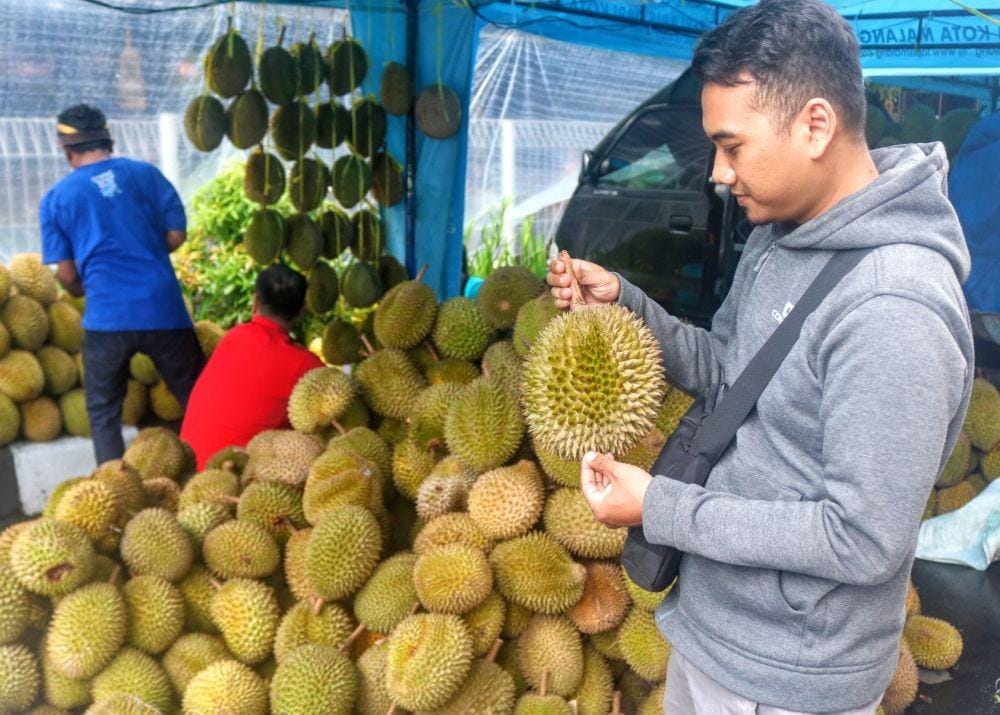 Pecinta Durian bisa memilih berbagai macam durian sesuai selera. IDN Times/ Alfi Ramadana