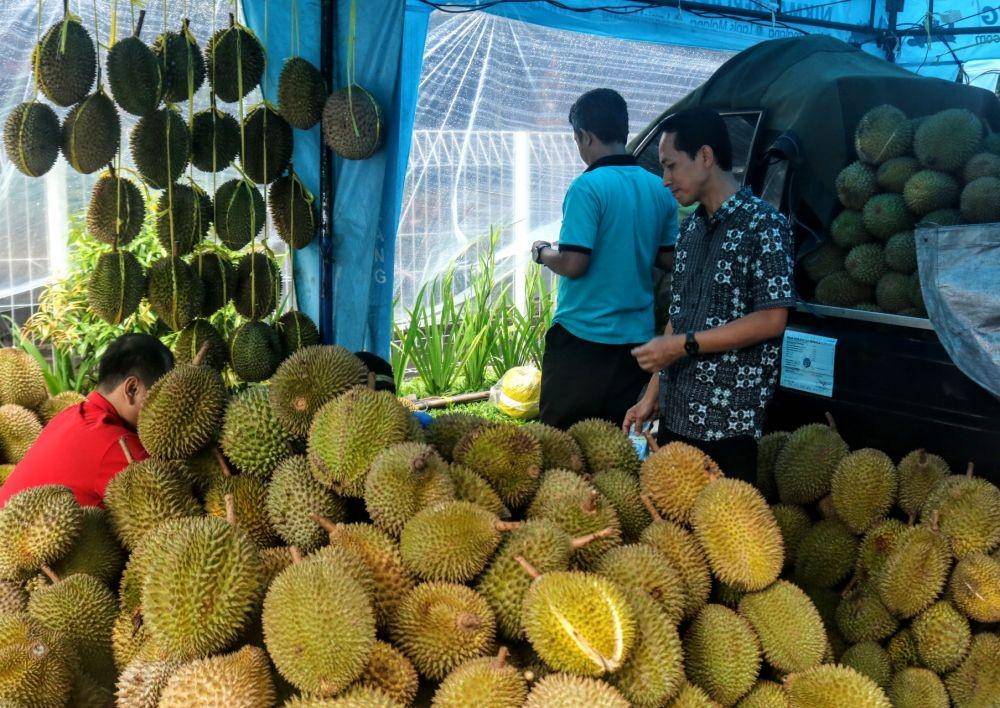 Festival durian digelar di halaman parkir Transmart Kota Malang selama tiga hari. IDN Times/ Alfi Ramadana
