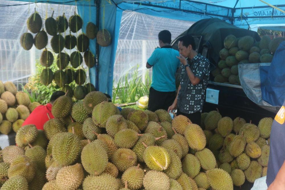 Berbagai macam durian lokal tersedia. IDN Times/ Alfi Ramadana