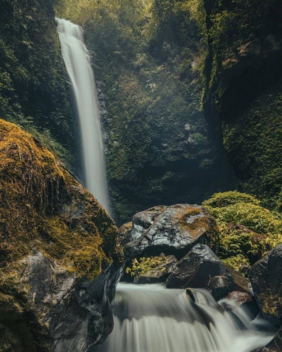 instagram.com/viewver