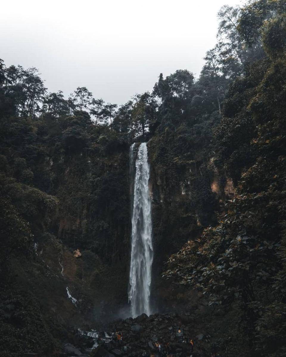 instagram.com/rajataari_
