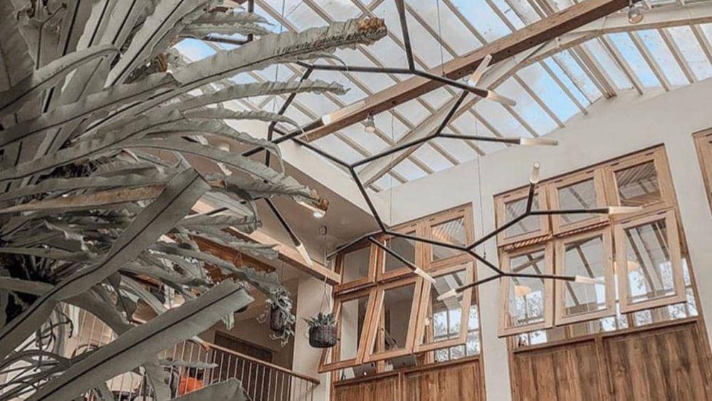 instagram.com/luckycatcoffeekitchen