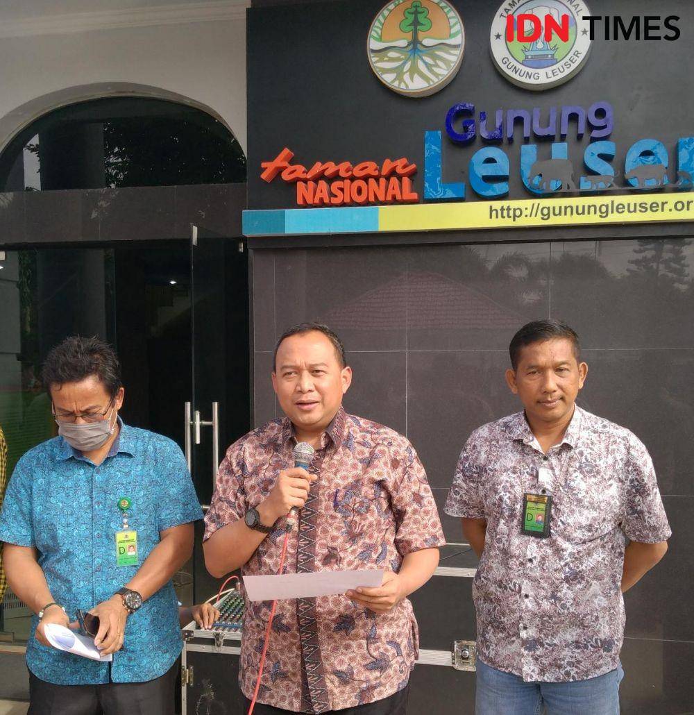Pejabat BBTNGL saat memberikan keterangan kepada wartawan soal orangutan (IDN Times/Fadli Syahputra)