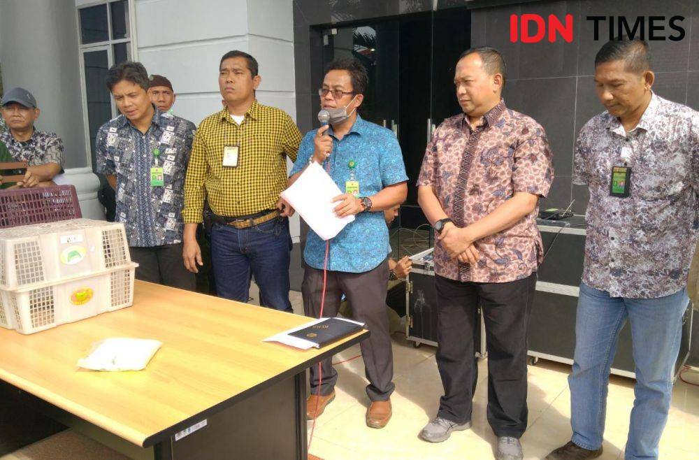 Pejabat BBTNGL saat memberikan keterangan kepada wartawan soal orangutan (IDN Times/Fadli Syahputra)