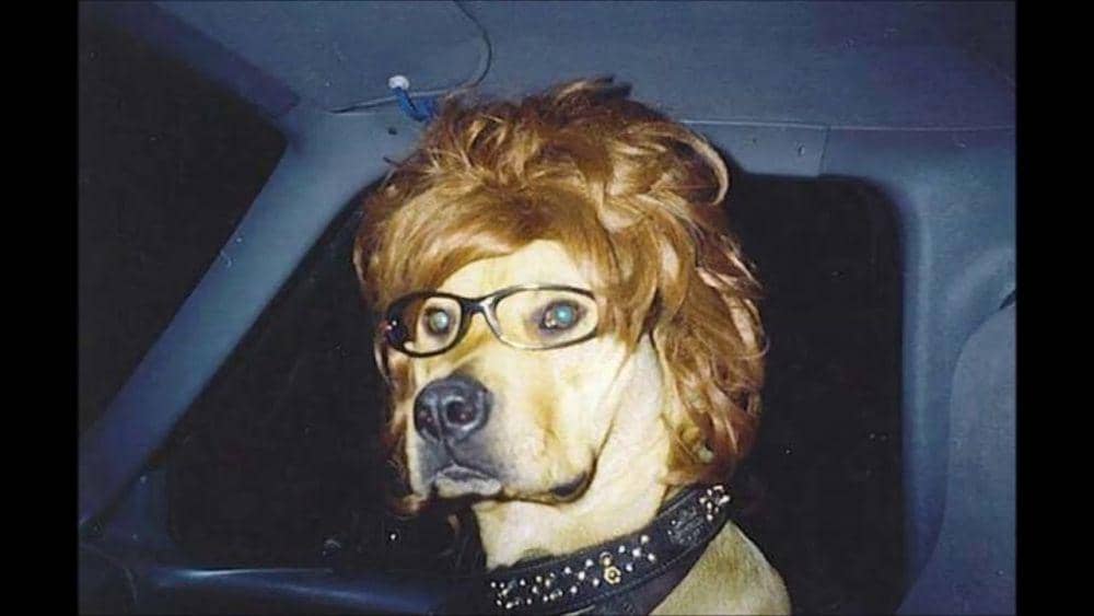 Youtube.com/Ozi Mozi