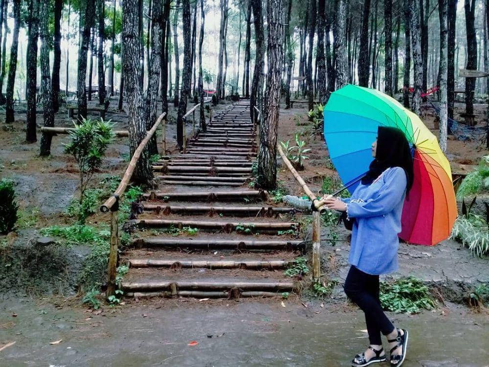 Instagram.com/meliarustia