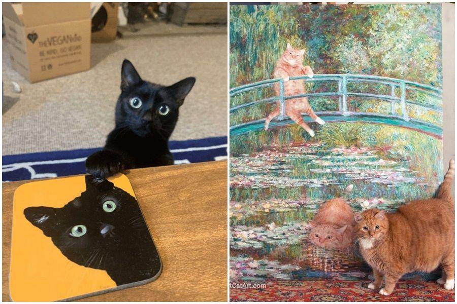 Meme.com & Fatcatart.com