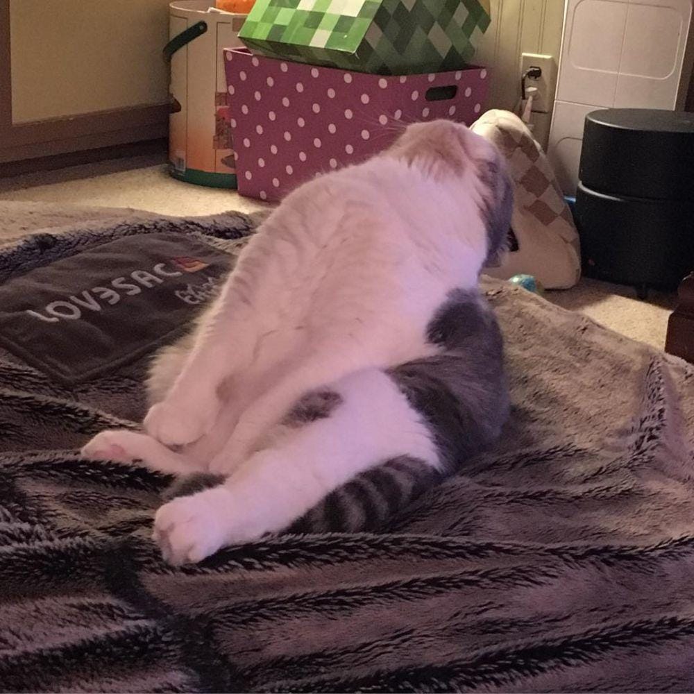 Instagram.com/Gingersnaps