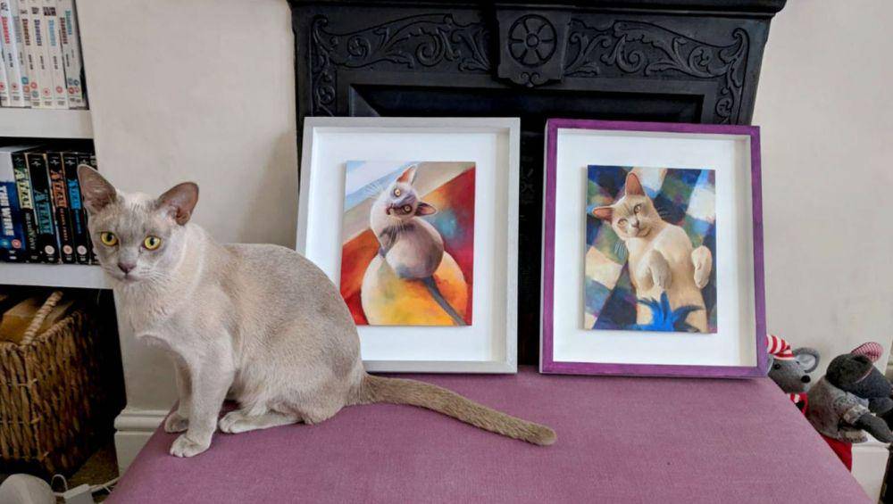 Katzenworld.co.uk