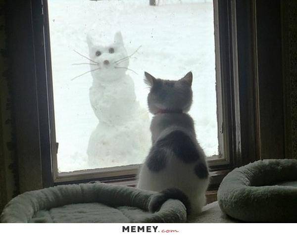 Memey.com
