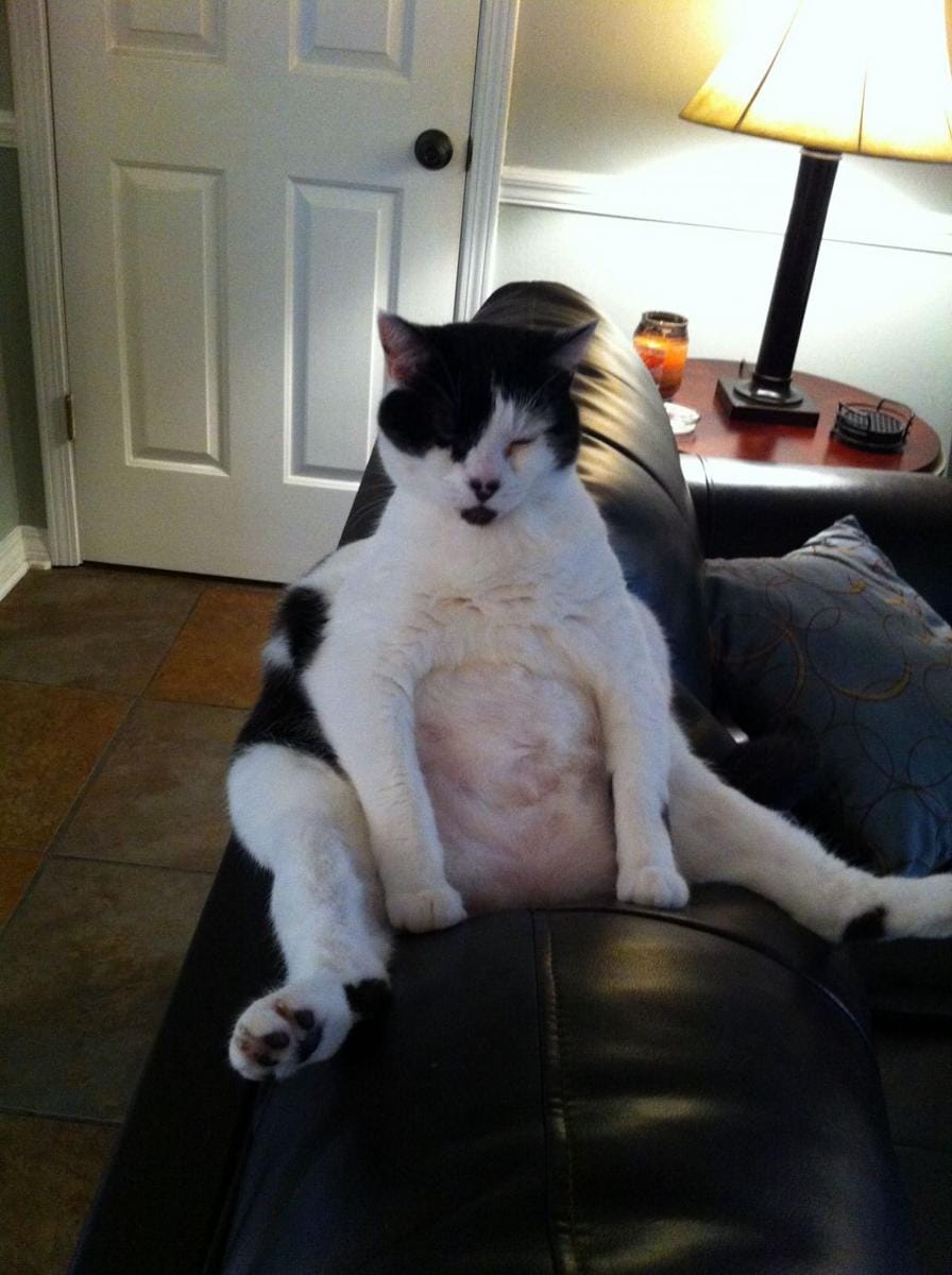 Pinterest.com/Mike Hunt