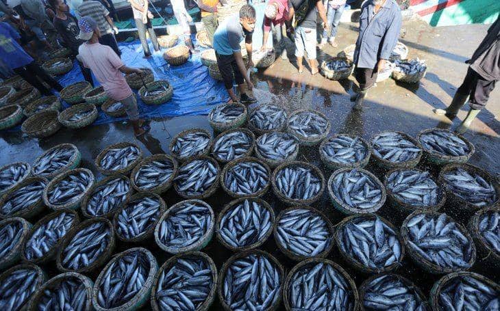 ANTARA FOTO/Irwansyah Putra/wsj