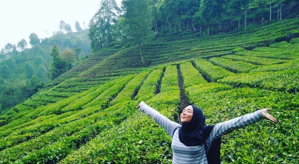 Instagram.com/irachubbies